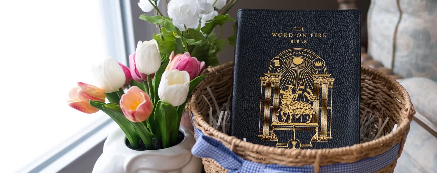 Evangelize the Culture Through Beauty